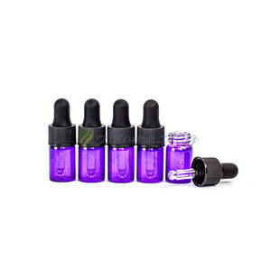 2 Ml Tropfpipetten Flaschen - Paket Von 5 Lila Zubehör