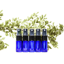 5 Ml Farbige Roll-On-Flaschen Mit Spray-Aufsatz - Paket Von Blau Spray Flaschen