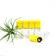 5 Ml Klare Roll-On Flaschen - Paket Von Flasche